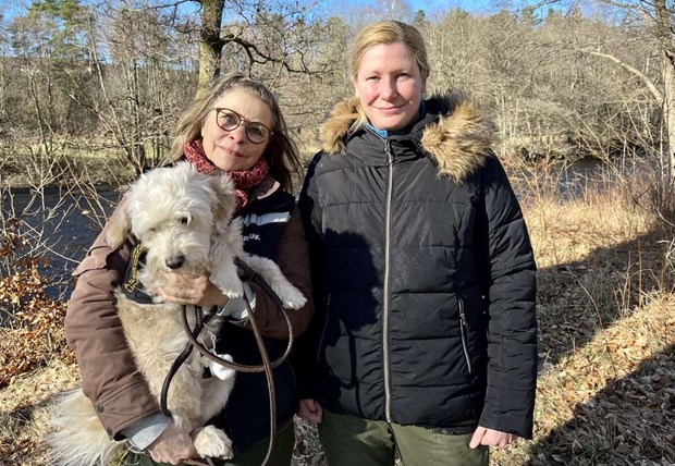 Bruno tränas för att bli psykisk hälsa-hund