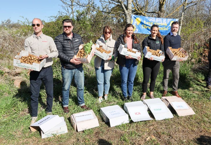 De stora kedjorna fick 10 kilo potatis var. Foto: Peter Jakobsson
