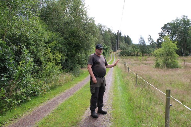 Korna flydde f�r livet � skr�mdes av varg 