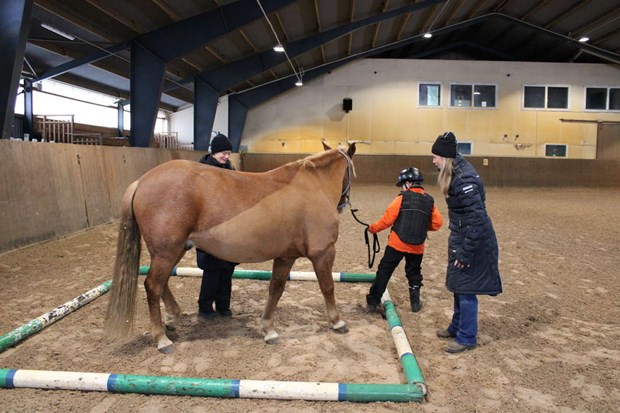 Forskare ska studera Båstadelever 