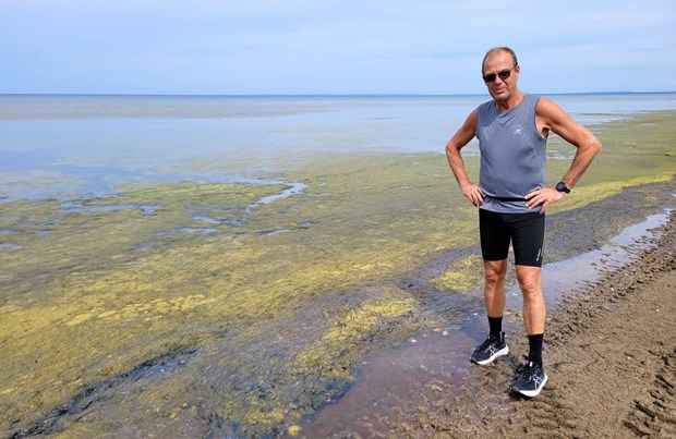 Gr�na geggan p� stranden: 
