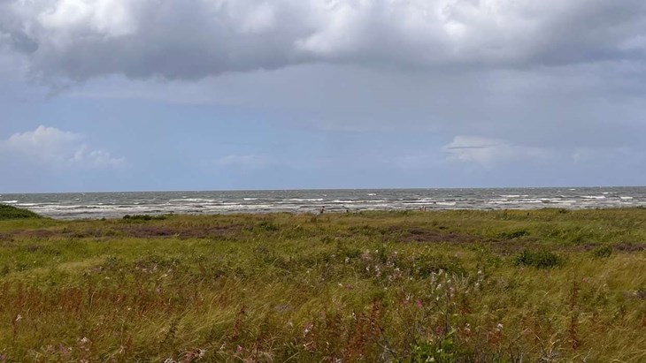 Utsikt rakt ut över havet. Foto: Per Brolléus