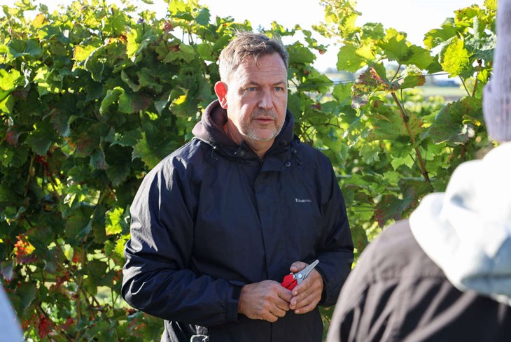 Joakim Palm driver Ljungbyholms vingård tillsammans med frun Annika. Foto: Peter Jakobsson