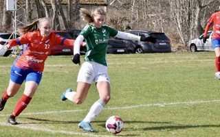 Drömstart – men tränaren manar till tålamod