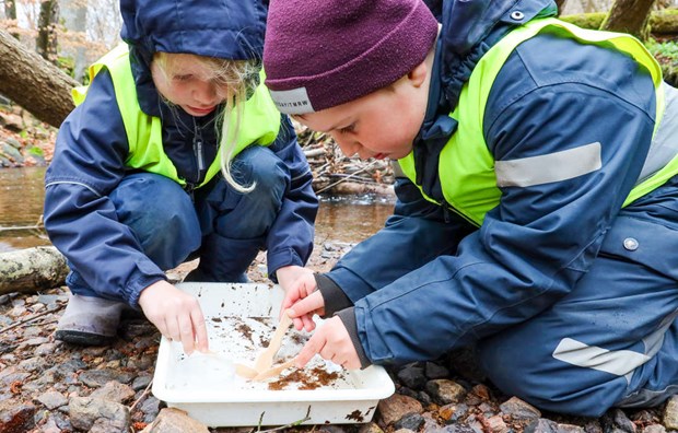 Småkryp, skratt och stora upptäckter i Örebäcken