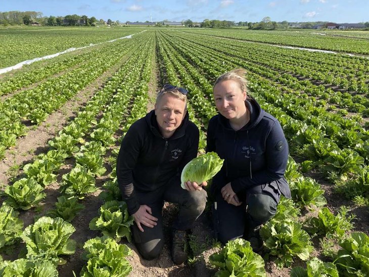 Daniel och Marina har nischat in sin gård med grönsaksodling. Just nu levererar de sallad från frilandsodlingarna på Bjäre. Foto: Carina Nilsson