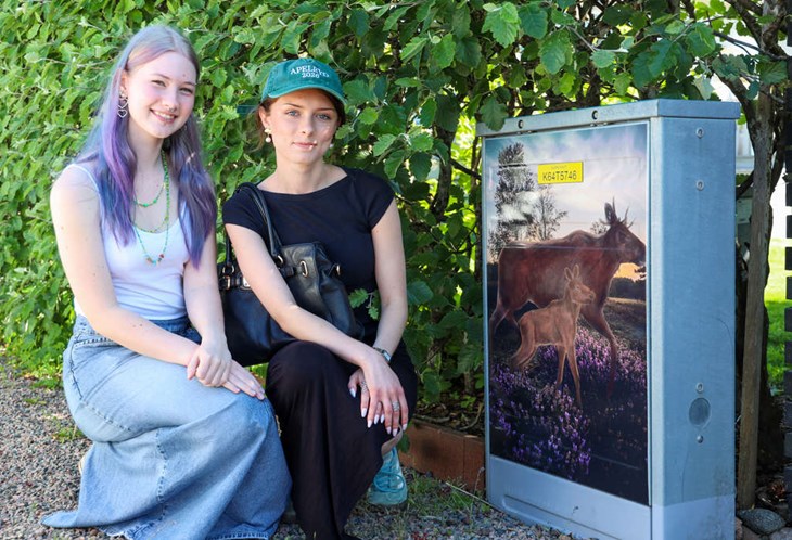 Minea Andersson och Edina Lindhe ligger bakom konsten på detta skåp. Foto: Peter Jakobsson