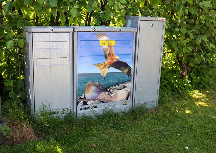 Ett av skåpen. Foto: Peter Jakobsson