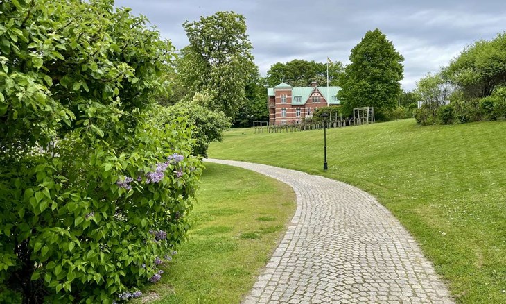 Vinslottet ska renoveras och få en verksamhet i sig. En tanke är våffelkafé och festvåning. Foto: Johan Jönsson