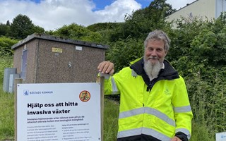 Segaste motståndaren har rötter överallt: