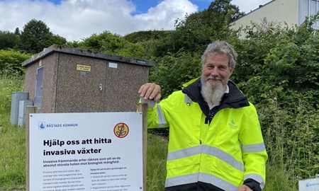 Segaste motståndaren har rötter överallt: 