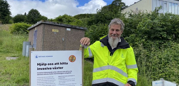 Segaste motståndaren har rötter överallt: 