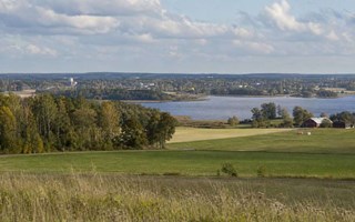Båstadbornas spelande omsätter 43 miljoner om året – var sjätte krona till utlandet