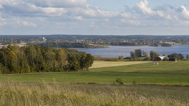 Båstadbornas spelande omsätter 43 miljoner om året – var sjätte krona till utlandet