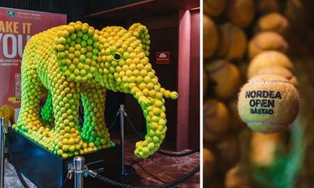 Tenniselefanten flyttar in på Hotel Skansen för gott