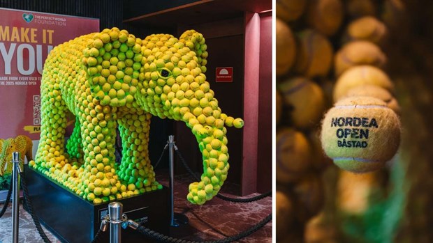 Tenniselefanten flyttar in på Hotel Skansen för gott