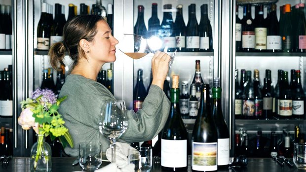 Hannas vinresa: Från Sidney via Jukkasjärvi till Bjäre