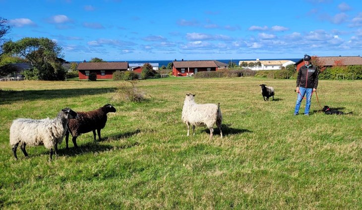 Mer jobb väntar. Rickard Kristensson berättar att föreningen för en dialog med fårbonden om fåren framöver kan släppas på fler ytor som snabbt växer igen. Foto: Rickard Gustafsson