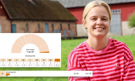 Tove tar vänstern tillbaka i politiken efter 20 år
