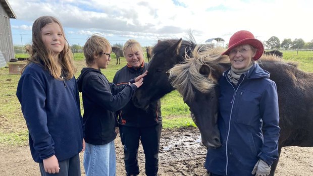 Här växer självförtroendet – fyra hovar i taget 