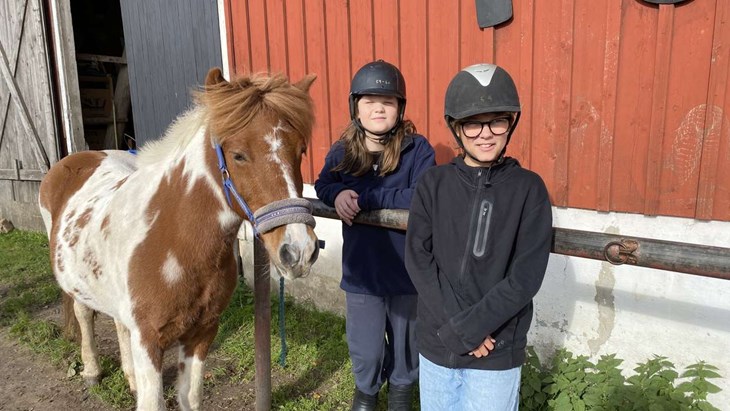 Antonio och Pontus börjar utomhus med att borsta hästen innan lektionen. Foto: Carina Nilsson