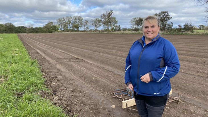 Bakom Anja Sauhula finns ett halv hektar med nyplanterade saffranskrokus. Planteringen är ett försök att föröka saffranskrokus i samarbete med ett holländskt bolag. Foto: Carina Nilsson