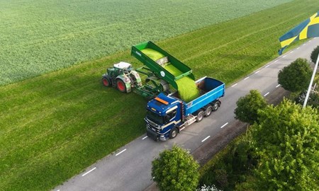 Nu ska den skånska ärtan få en egen plats på tallriken 