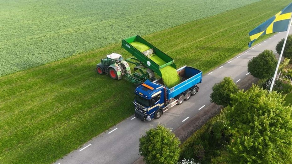 Nu ska den skånska ärtan få en egen plats på tallriken 